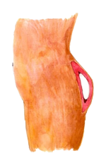 1 pic.